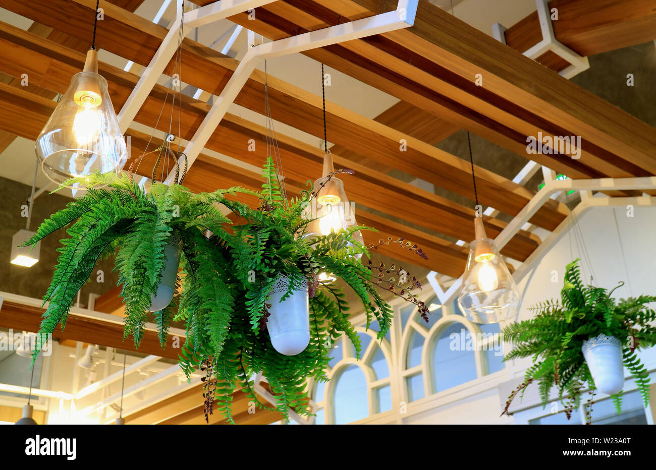 Techo decorado con macetas colgantes helechos e iluminación Fotografía de  stock - Alamy