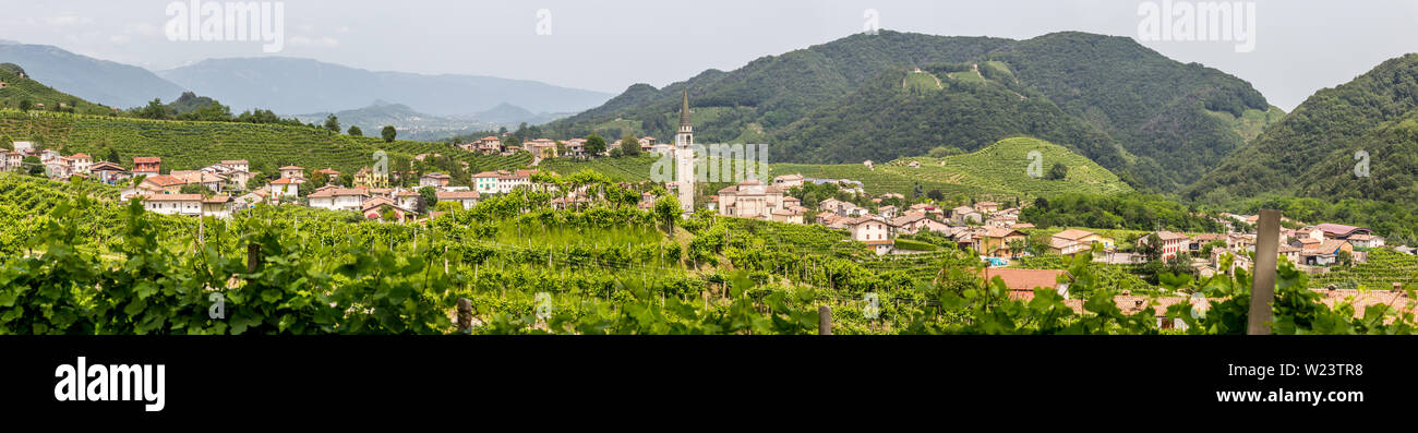 Pintorescas colinas con viñas de vino espumante Prosecco, región en Valdobbiadene, Veneto, Italia. Foto de stock