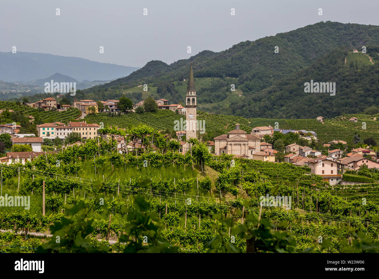 Pintorescas colinas con viñas de vino espumante Prosecco, región en Valdobbiadene, Veneto, Italia. Foto de stock