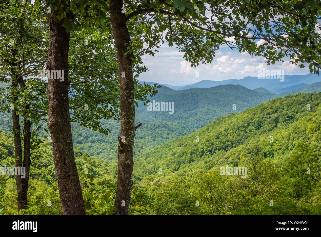 Vista de Hog Pen Gap cerca del sendero Appalachian a lo largo de la autopista escénica Richard B. Russell en las montañas Blue Ridge del noreste de Georgia. (EE.UU.) Foto de stock