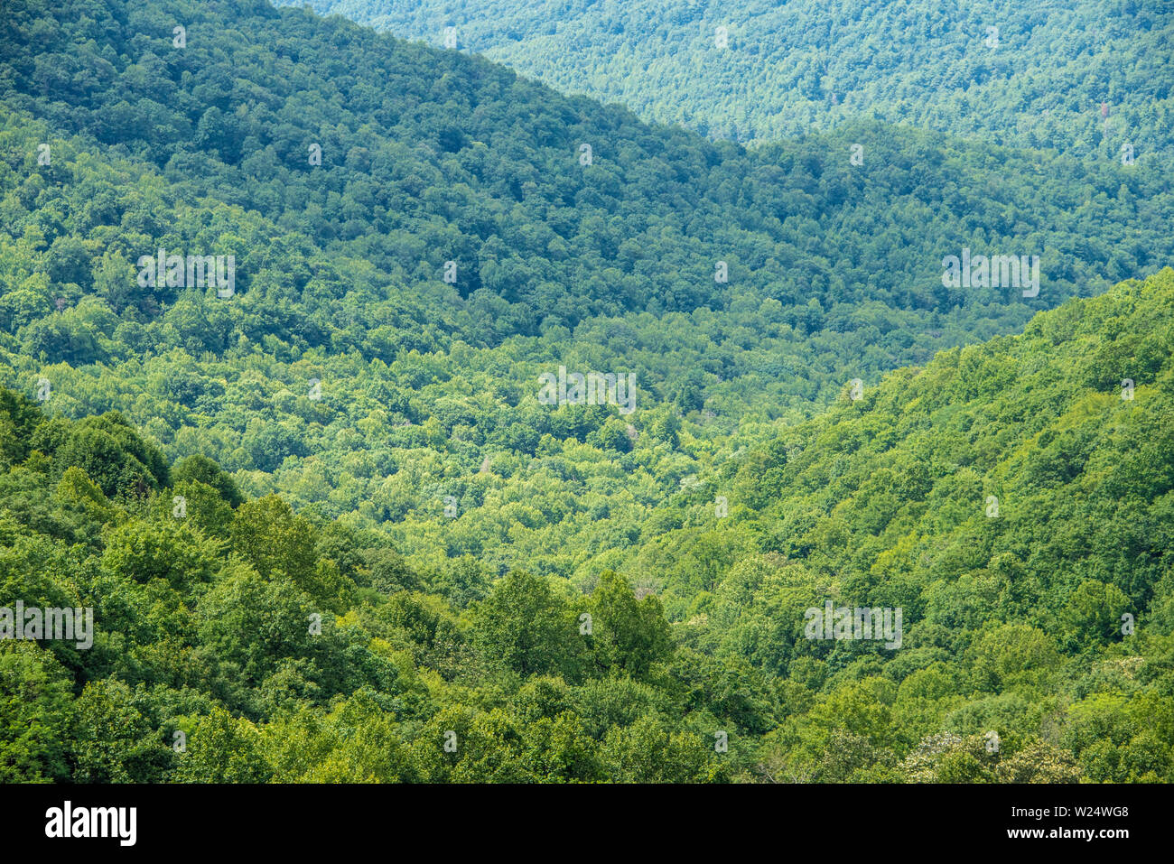 Blue Ridge Mountains, vista desde la Carretera Escénica de Richard B. Russell en el noreste de Georgia. (Ee.Uu.) Foto de stock