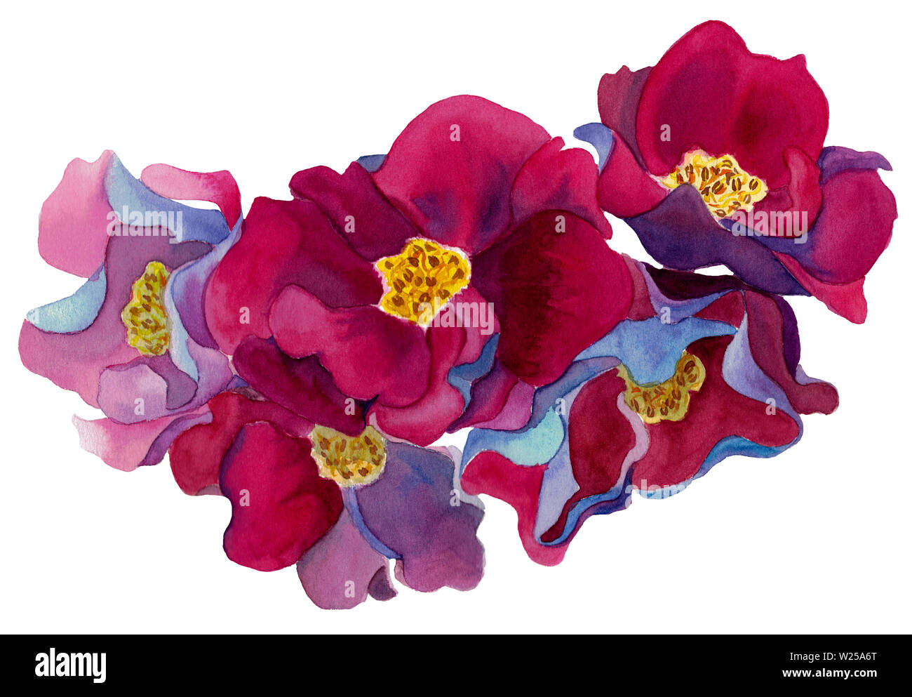 Fantásticas flores fotografías e imágenes de alta resolución - Alamy Fantásticas flores fotografías e imágenes de alta resolución - Alamy