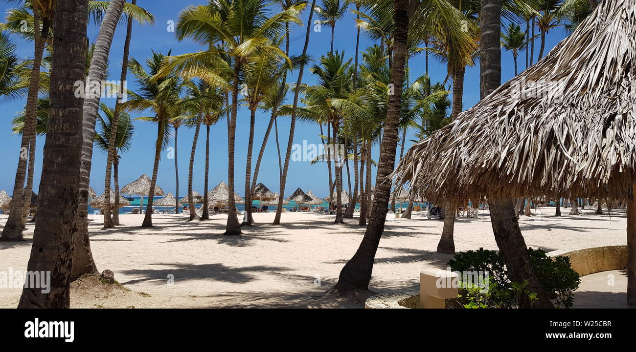 Punta Cana, República Dominicana, Playa Bávaro, vacaciones, sólo para adultos, Foto de stock