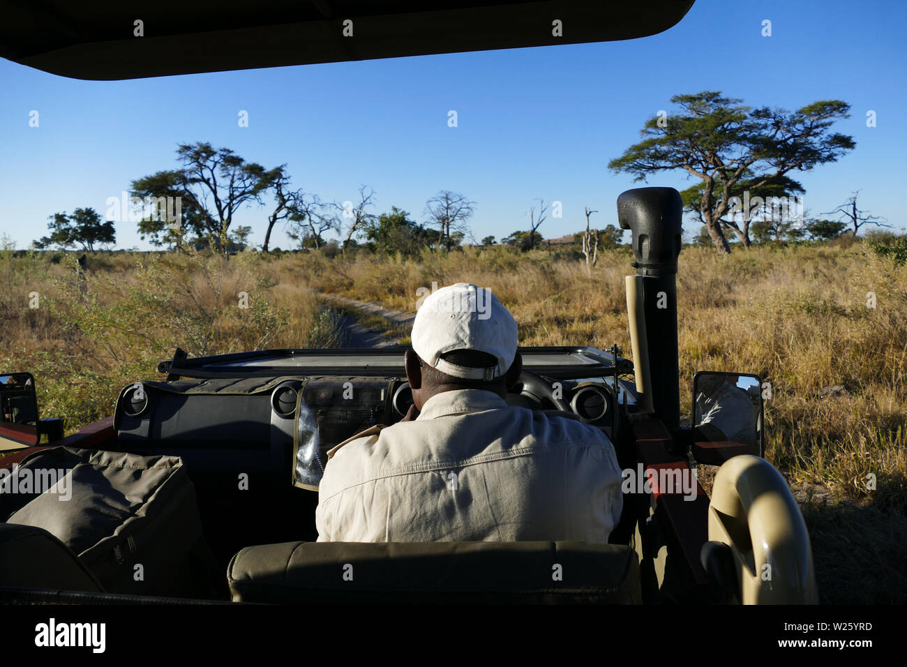 Camión Safari vista desde atrás Foto de stock