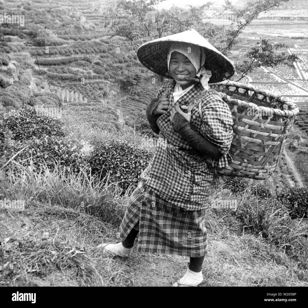 [ 1900 Japón - Alegre Selector de té japonés ] - sonriendo un selector de té llevando una cesta sobre los hombros y llevaba un sombrero cónico sugegasa, en algún lugar en la Prefectura de Shizuoka. Vintage del siglo 20 portaobjetos de vidrio. Foto de stock