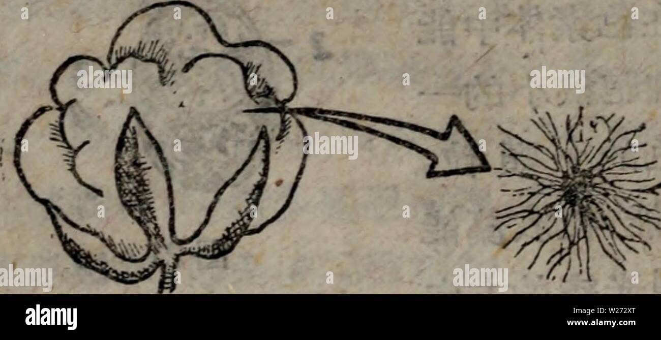 C Ae O Fotos E Imagenes De Stock Alamy