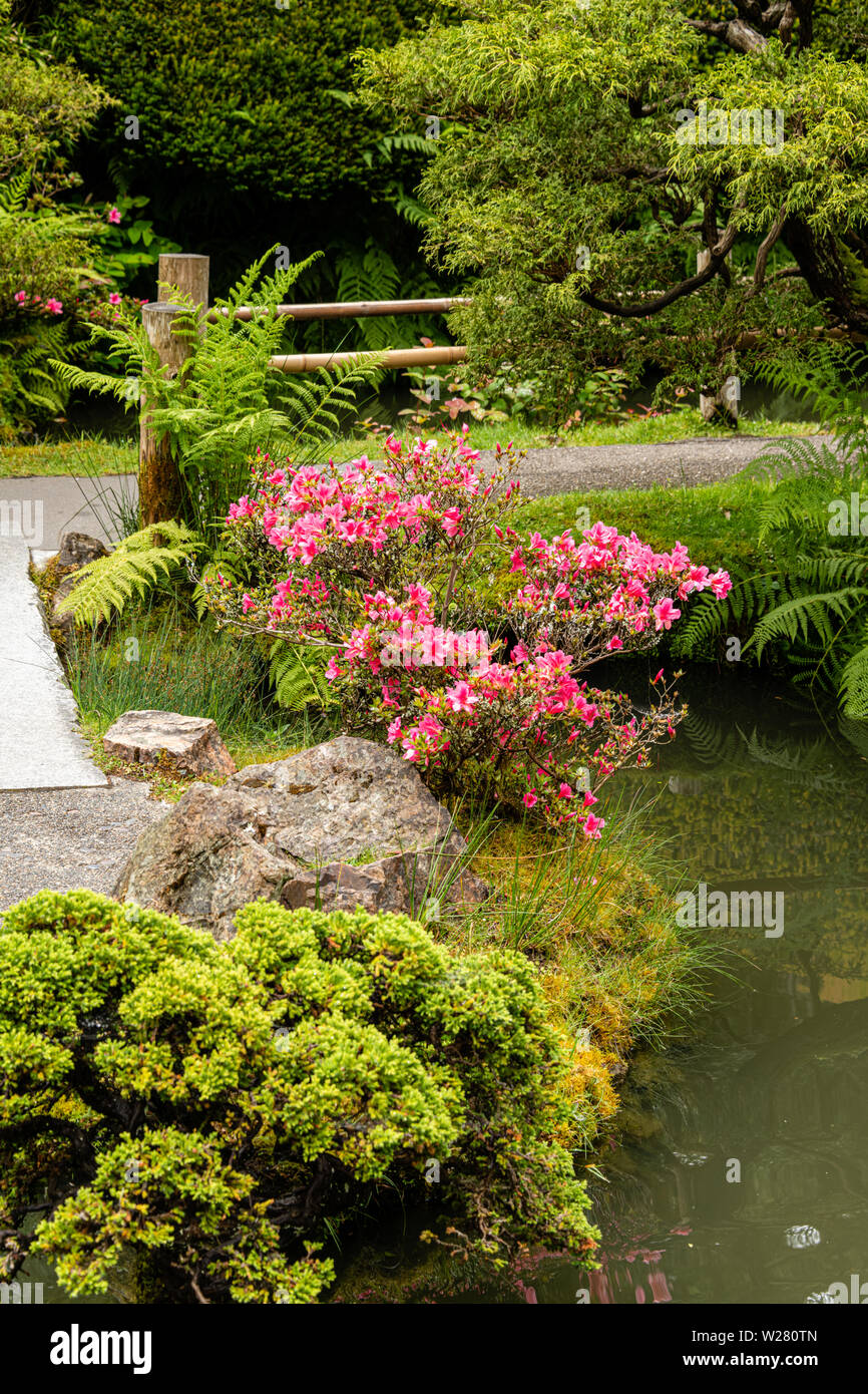 Azaleas de jardin fotografías e imágenes de alta resolución - Alamy