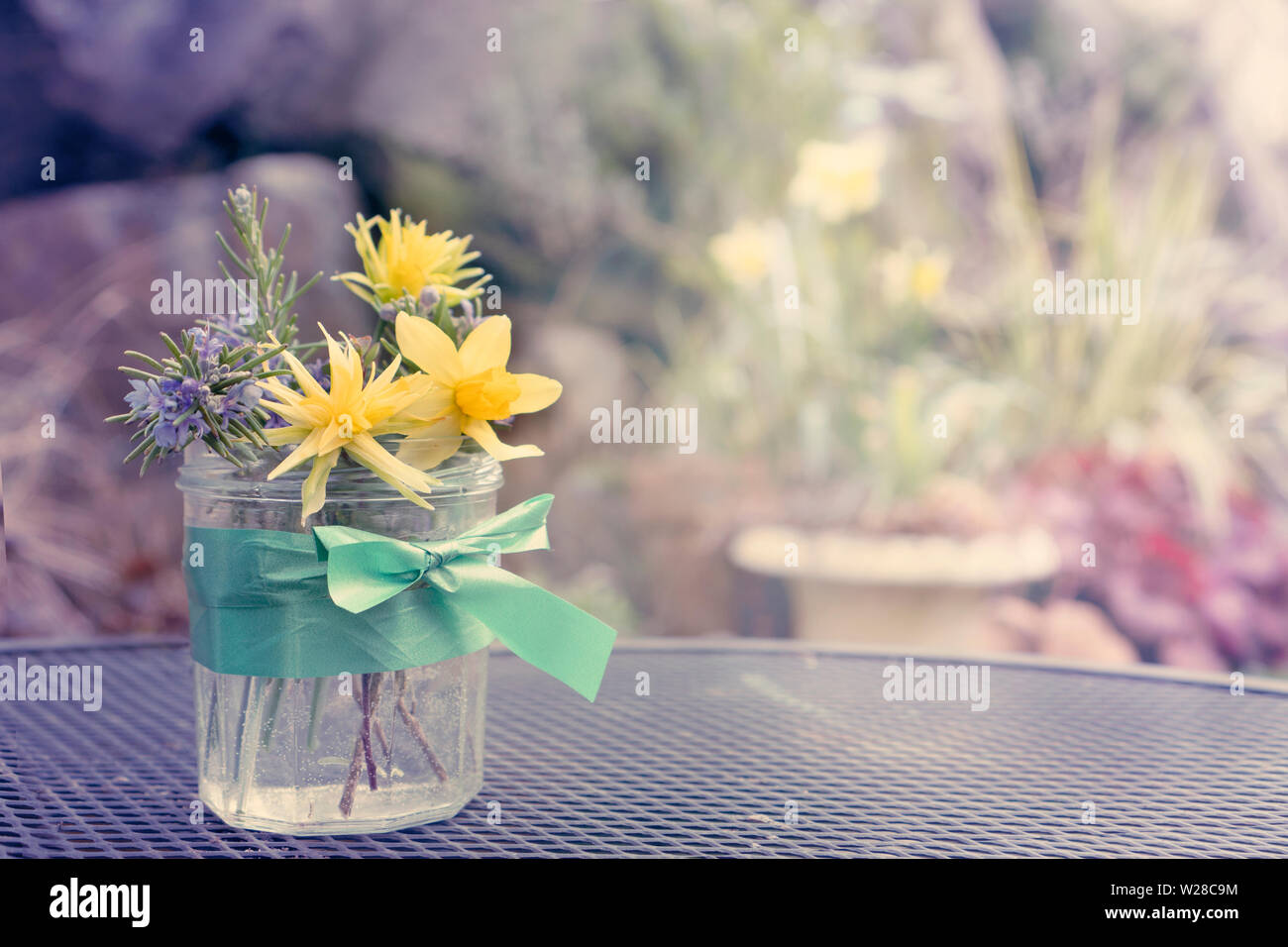 Las flores cortadas, narcisos y romero, en una jarra con agua en un soleado día de primavera. Post-procesamiento de color pastel. Foto de stock