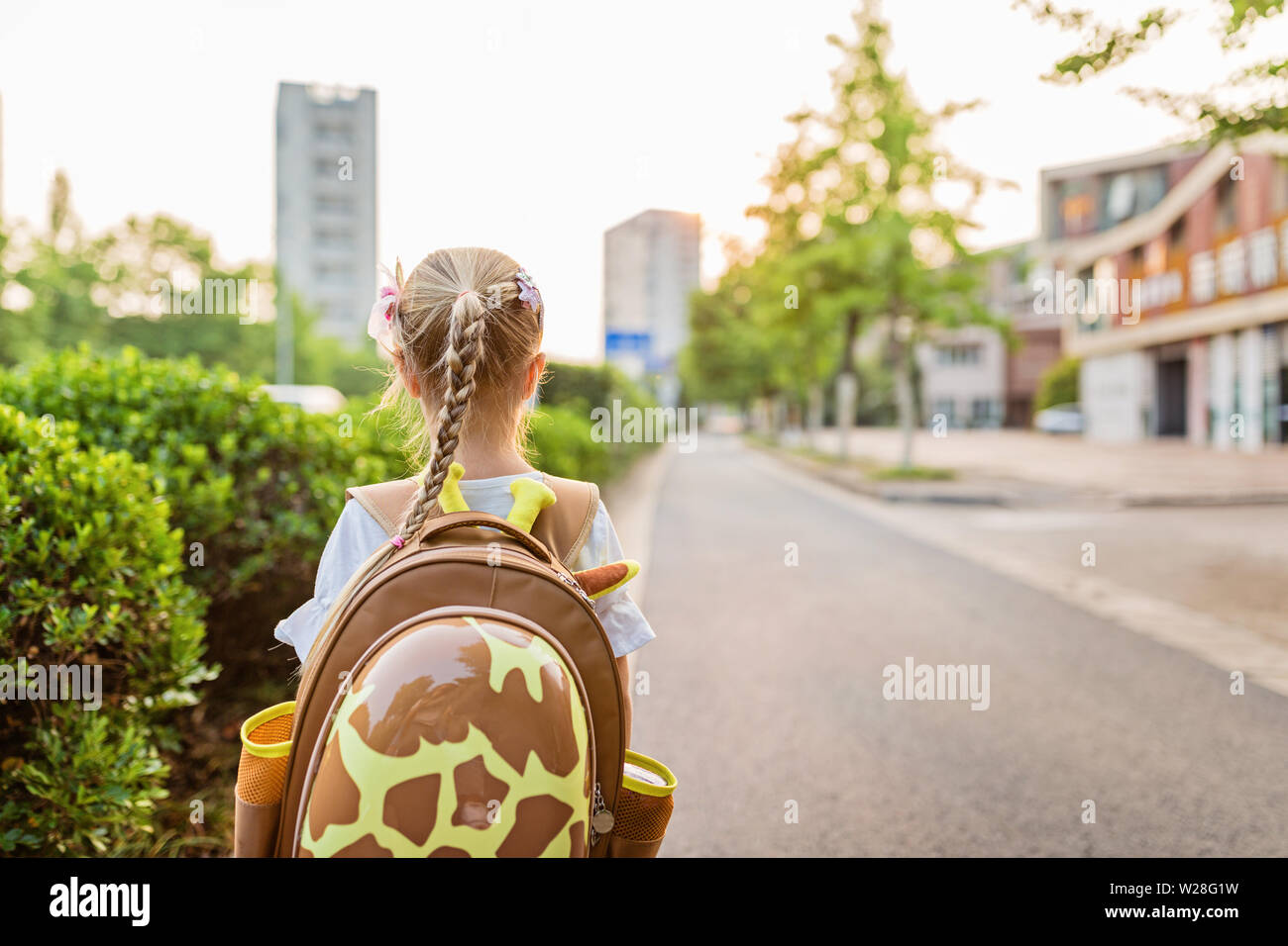 Kid alumna desde detrás caminando de regreso a casa después de la escuela de estudio de aprendizaje solo con mochilas escolares y preescolares, el kindergarten el concepto de educación. Primera Foto de stock