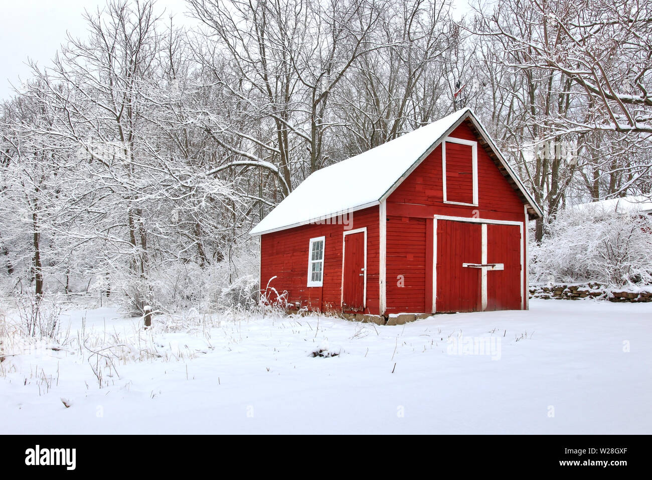 Vista escénica con graneros rojos en la cubierta de nieve fresca Woods. Por la mañana después de la tormenta. La agricultura, la agricultura y la vida rural en invierno de fondo. Foto de stock