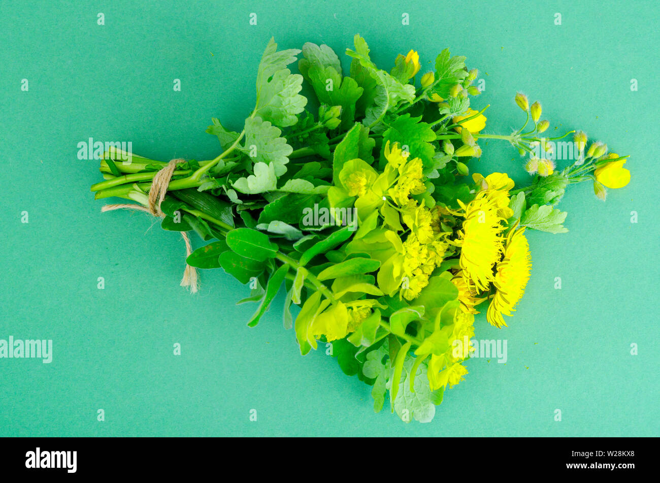 Ramo de flores silvestres de color amarillo. Foto de Estudio Foto de stock