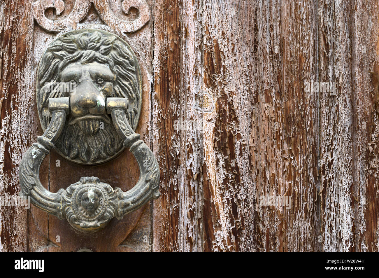 Detalle de las deterioradas puertas de madera con manijas de puerta del león  para fondos y texturas Fotografía de stock - Alamy