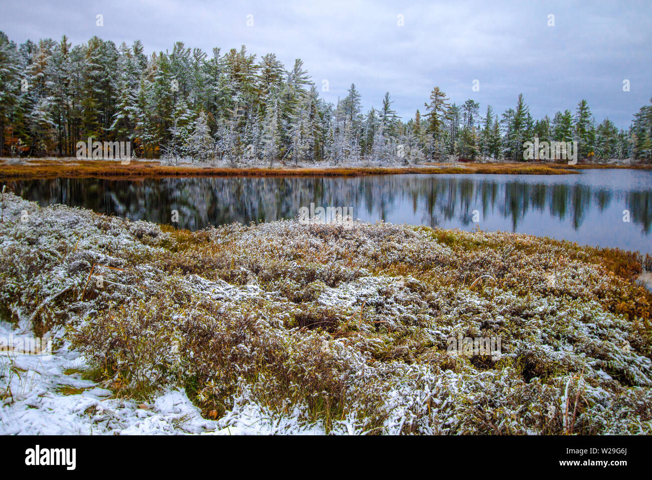 Michigan paraíso invernal. Precioso bosque caído nieve fresca se refleja en las tranquilas aguas de un lago en el desierto en la Península Superior de Michigan. Foto de stock