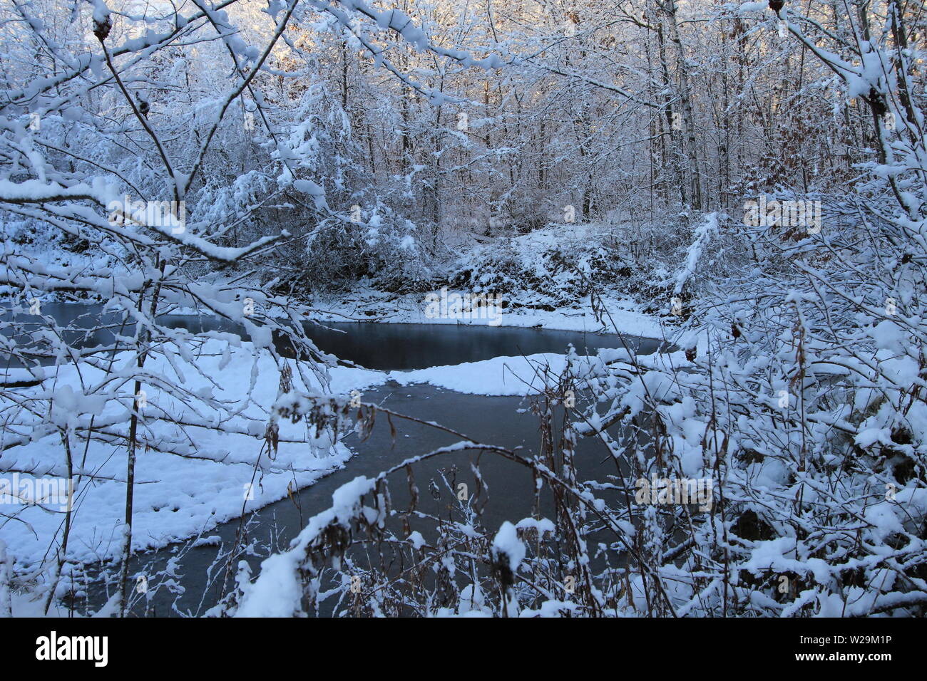 Bosque invernal paisaje. Caído nieve fresca en un desierto bosque en las orillas de un pequeño estanque en Michigan Foto de stock