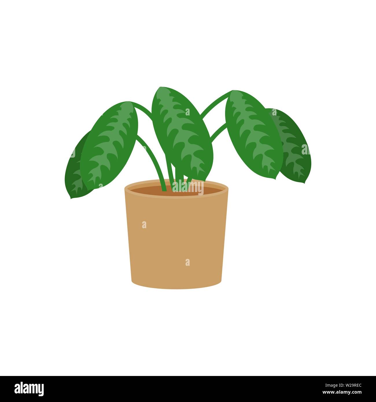Calathea icono plana en maceta, como planta de interior, como planta de  interior, flor ilustración vectorial aislado sobre fondo blanco Imagen  Vector de stock - Alamy