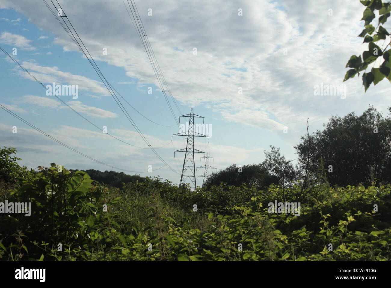 Imagen de pylon detrás de arbustos en praderas en un día soleado Foto de stock