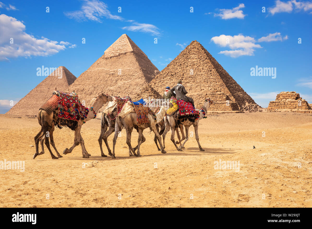 Los beduinos en camellos delante de las famosas Pirámides de Giza en Egipto Foto de stock