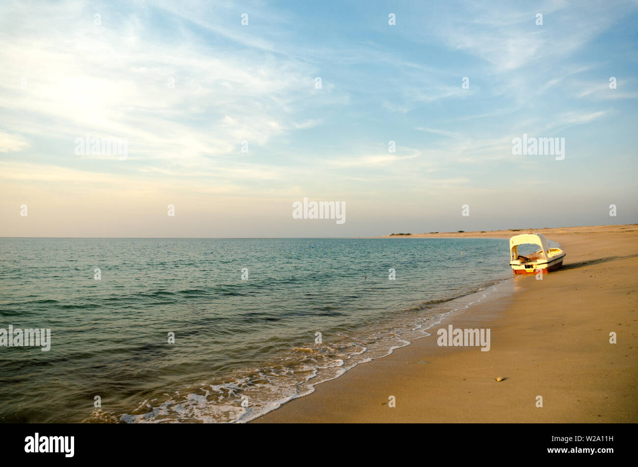 Shivrajpur Playa Cerca De Dwarka Gujarat India Al Anochecer Con Bue Mar Arabigo Fotografia De Stock Alamy