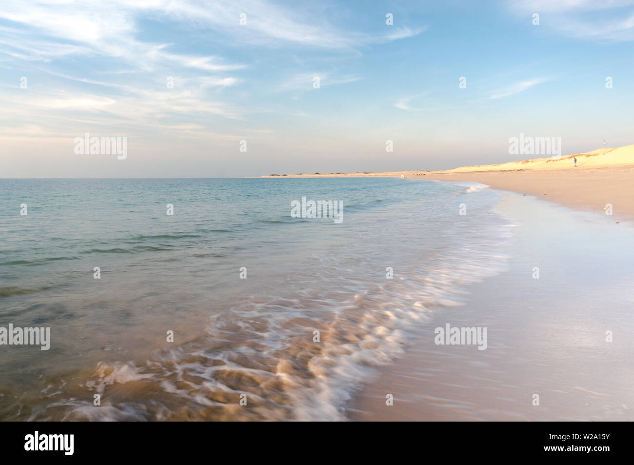 Shivrajpur Playa Cerca De Dwarka Gujarat India Al Anochecer Con Bue Mar Arabigo Fotografia De Stock Alamy
