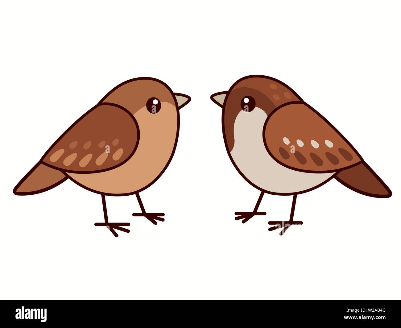 Gorriones masculinos y femeninos. Cute dibujos animados, pareja de aves  aisladas imágenes prediseñadas vectoriales ilustración Imagen Vector de  stock - Alamy