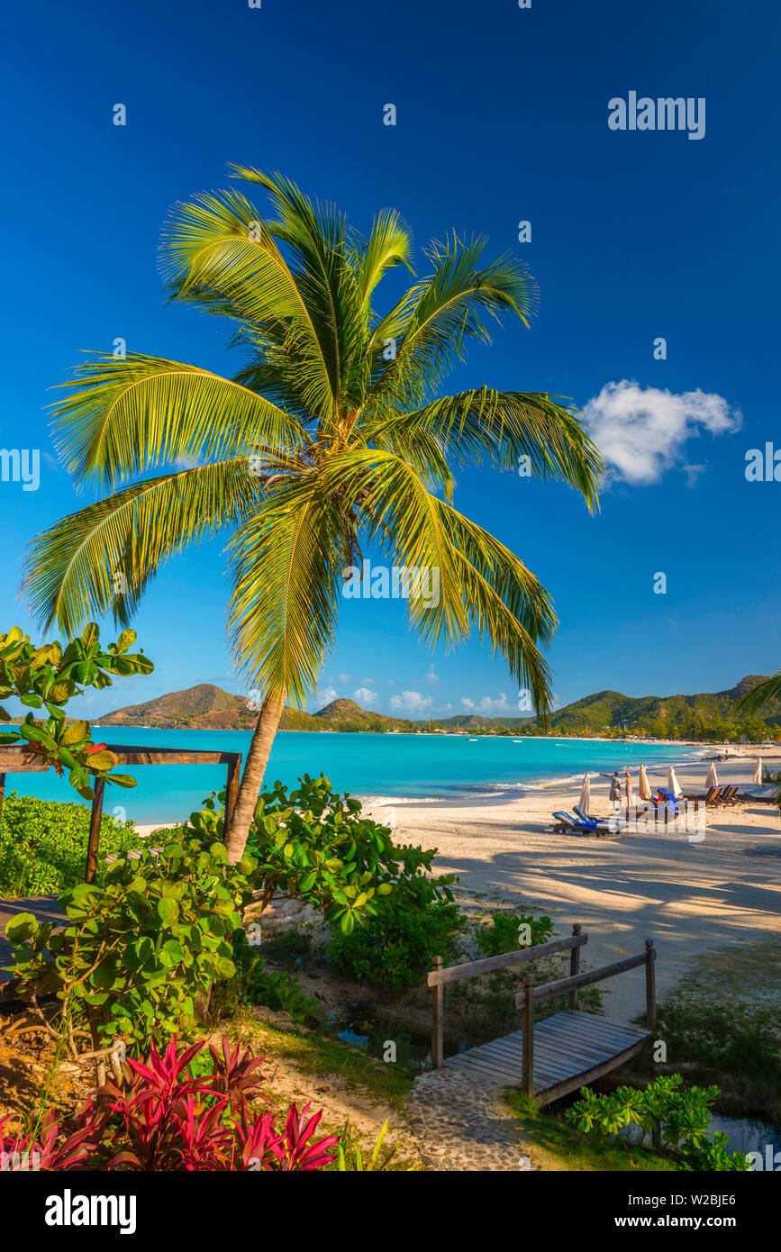 Antigua, Jolly Bay Beach Foto de stock