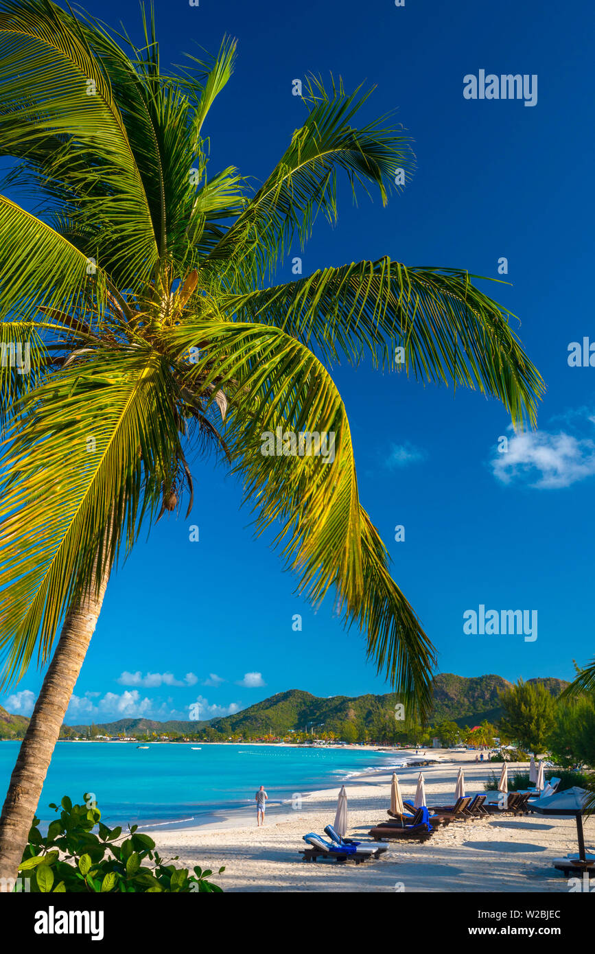 Antigua, Jolly Bay Beach Foto de stock