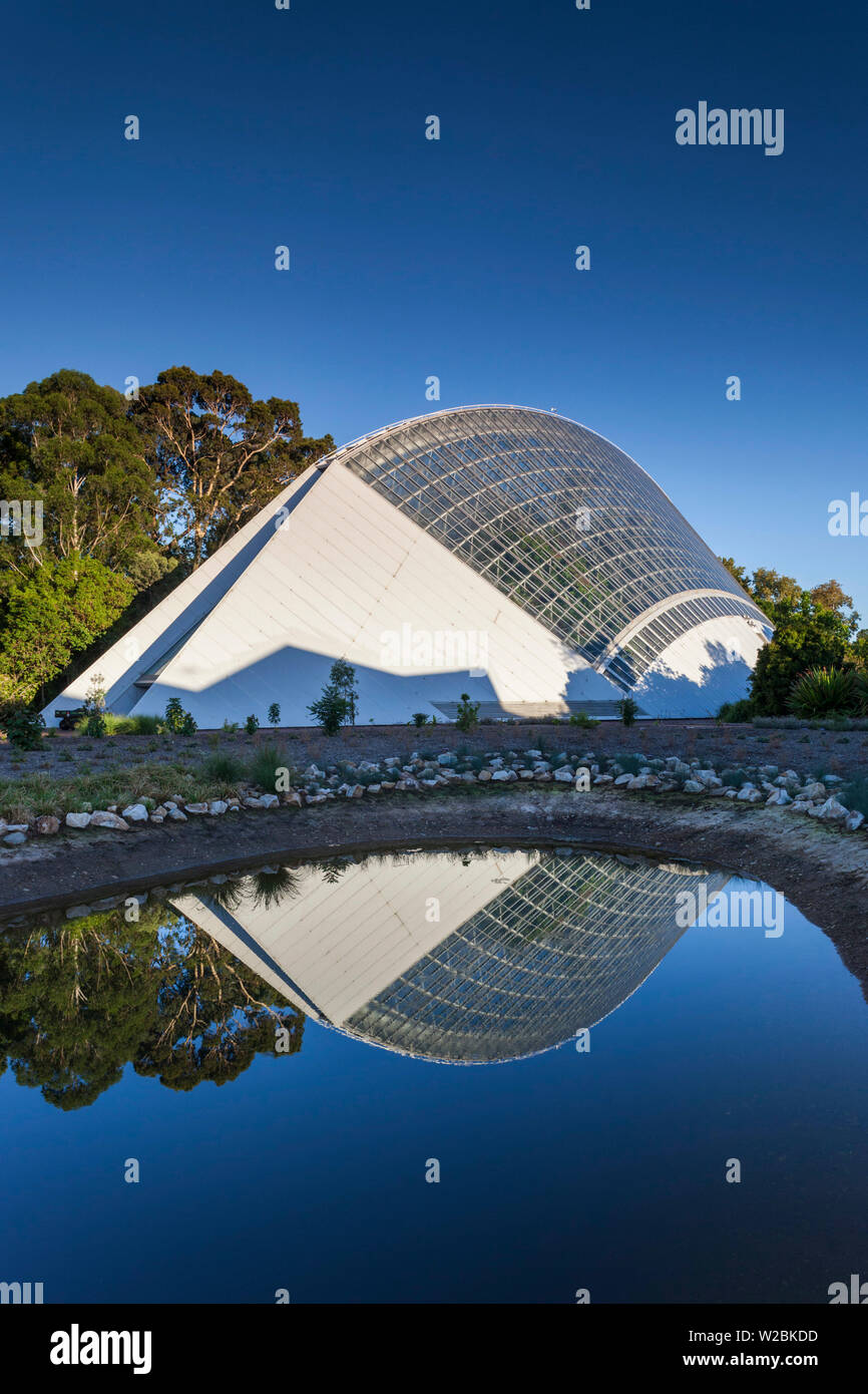 Australia, el sur de Australia, Adelaide, Adelaide Botanic Garden, Bicentenial conservatorio, invernadero tropical Foto de stock