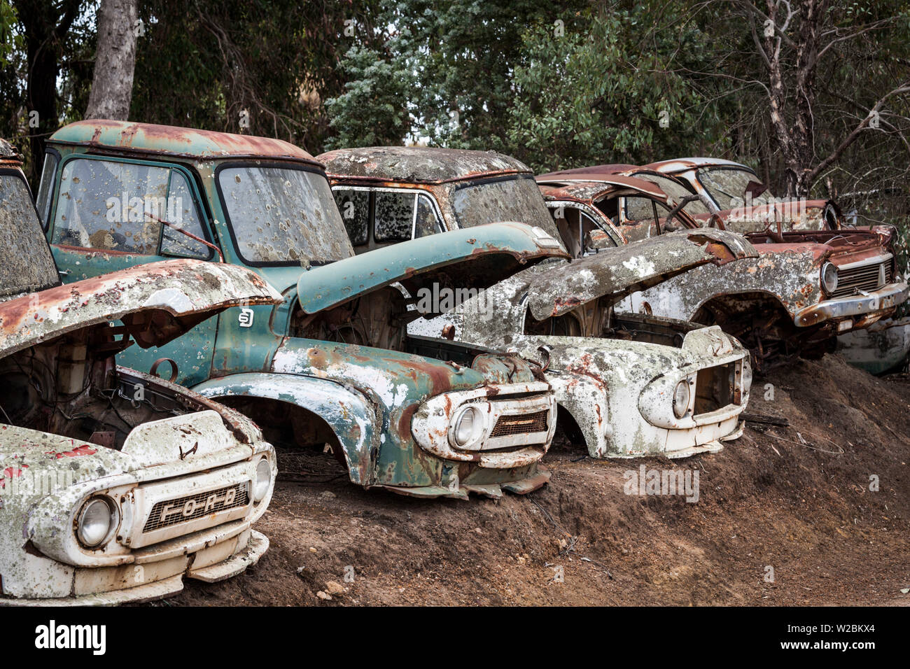 Australia, Australia Occidental, en el suroeste, Boyup Brook, los viejos camiones Foto de stock