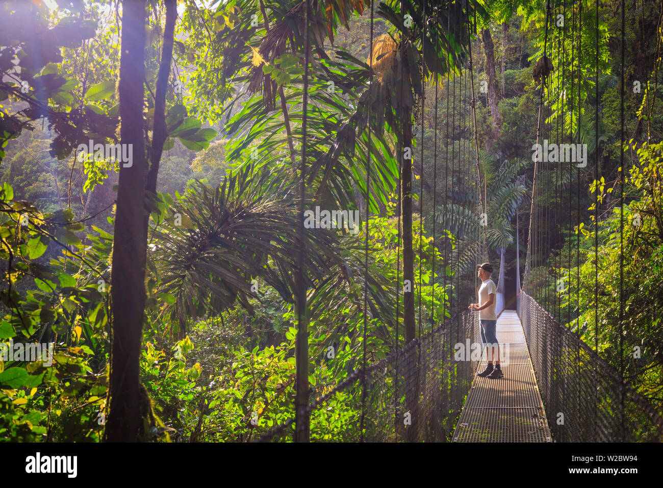 Costa Rica, Central Highlands, Parque Nacional Volcán Arenal, Puentes Colgantes dentro de selva (MR) Foto de stock