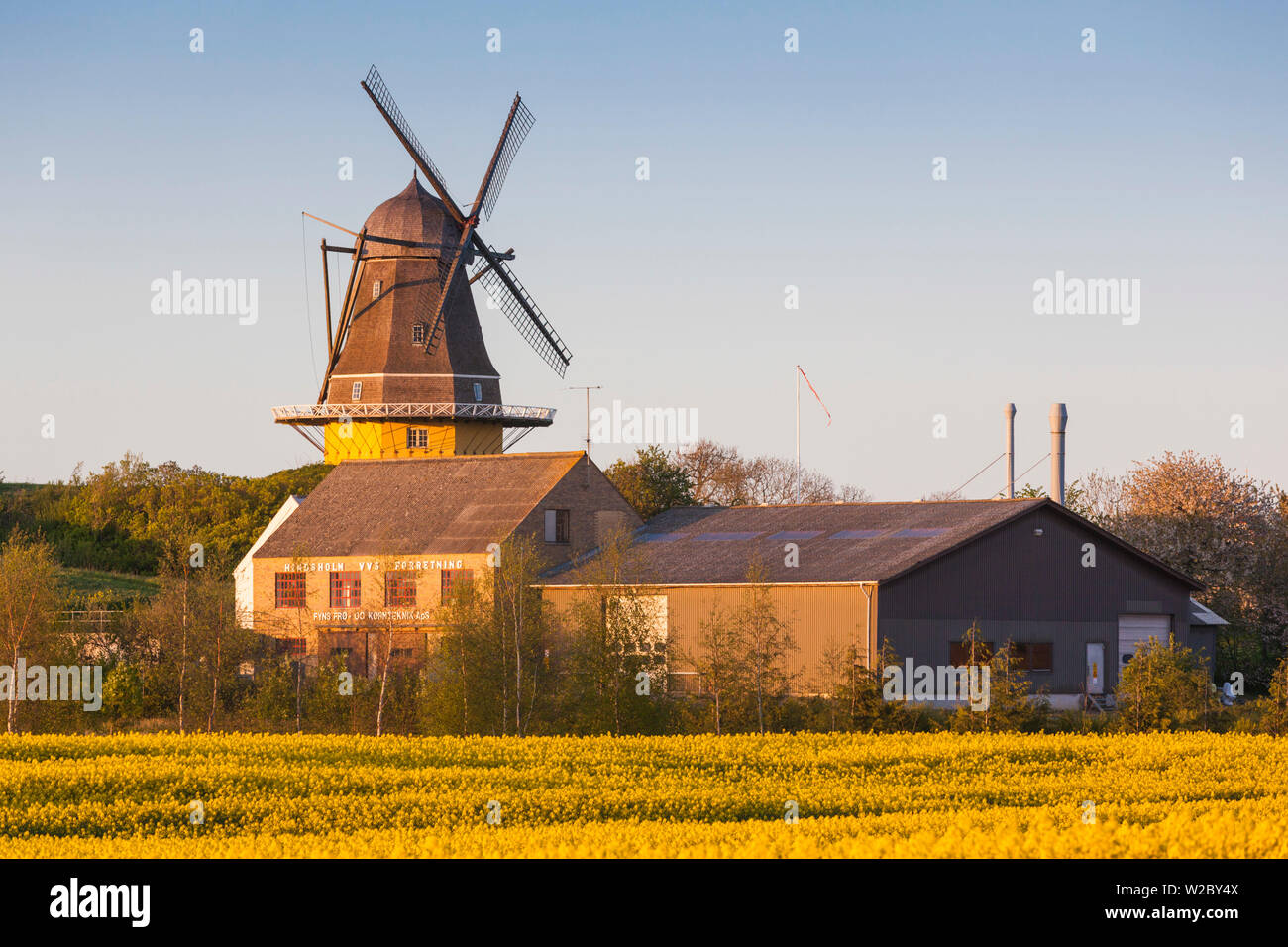 Dinamarca, Fionia, Península Hindsholm Viby, molino de viento Foto de stock