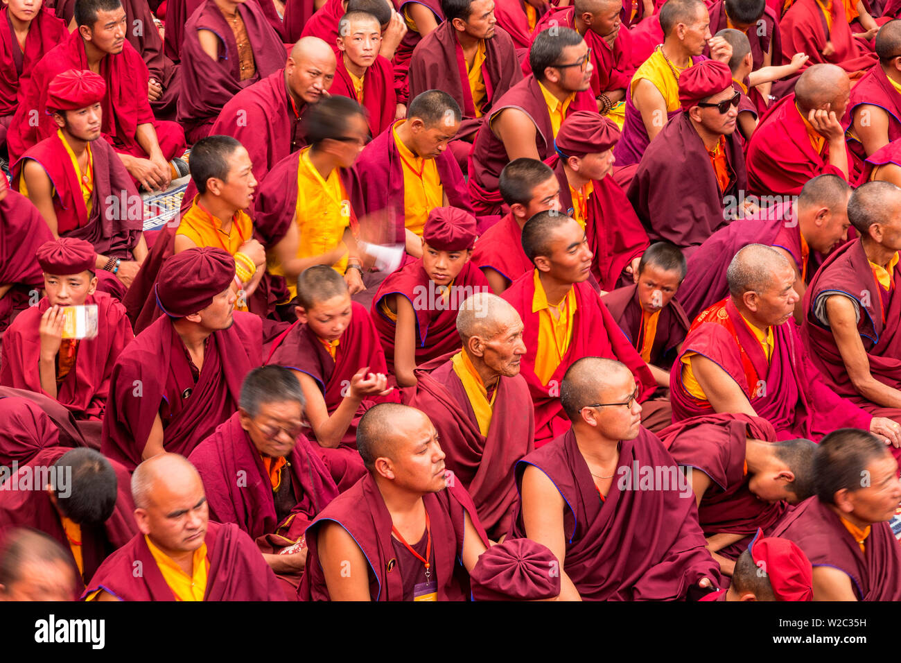 Los monjes, el monasterio de Hemis, Valle del Indo, Ladakh, India Foto de stock