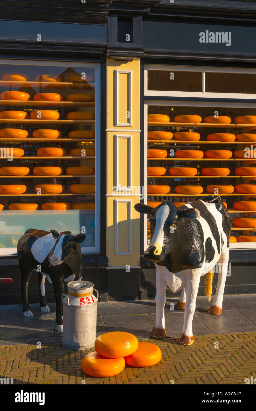 Países Bajos, Holanda del Sur (Zuid-Holland), Delft, tienda de queso Foto de stock