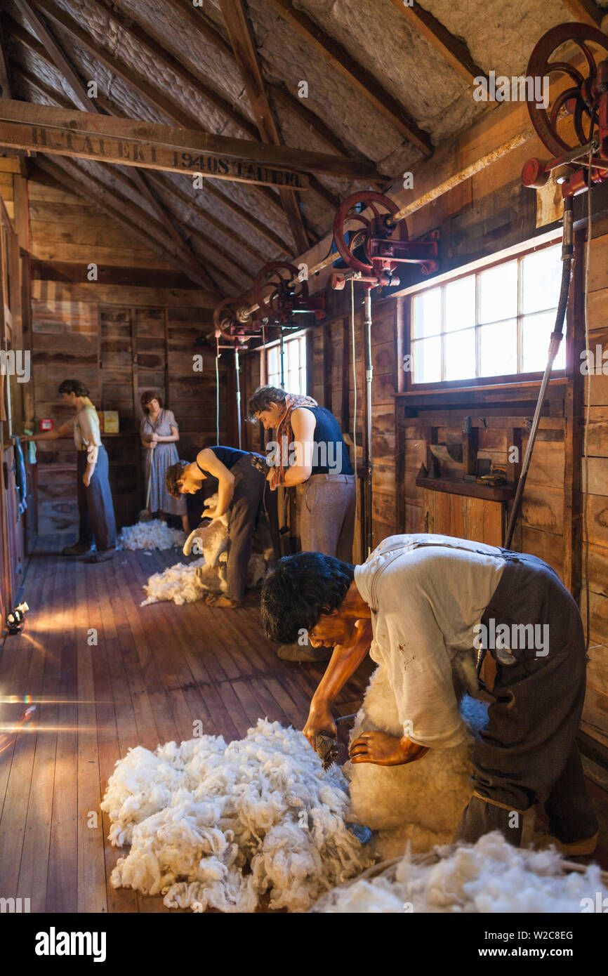 Nueva Zelanda, Isla Norte, Masterton, el cobertizo de lana, Museo Nacional de la esquila de ovejas, interior Foto de stock