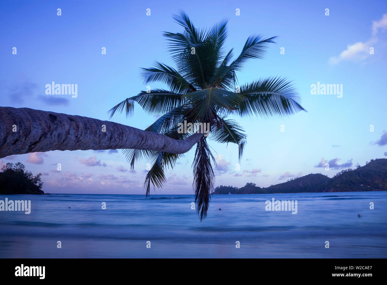 Palmera y playa tropical, en el sur de Mahé, Seychelles Foto de stock