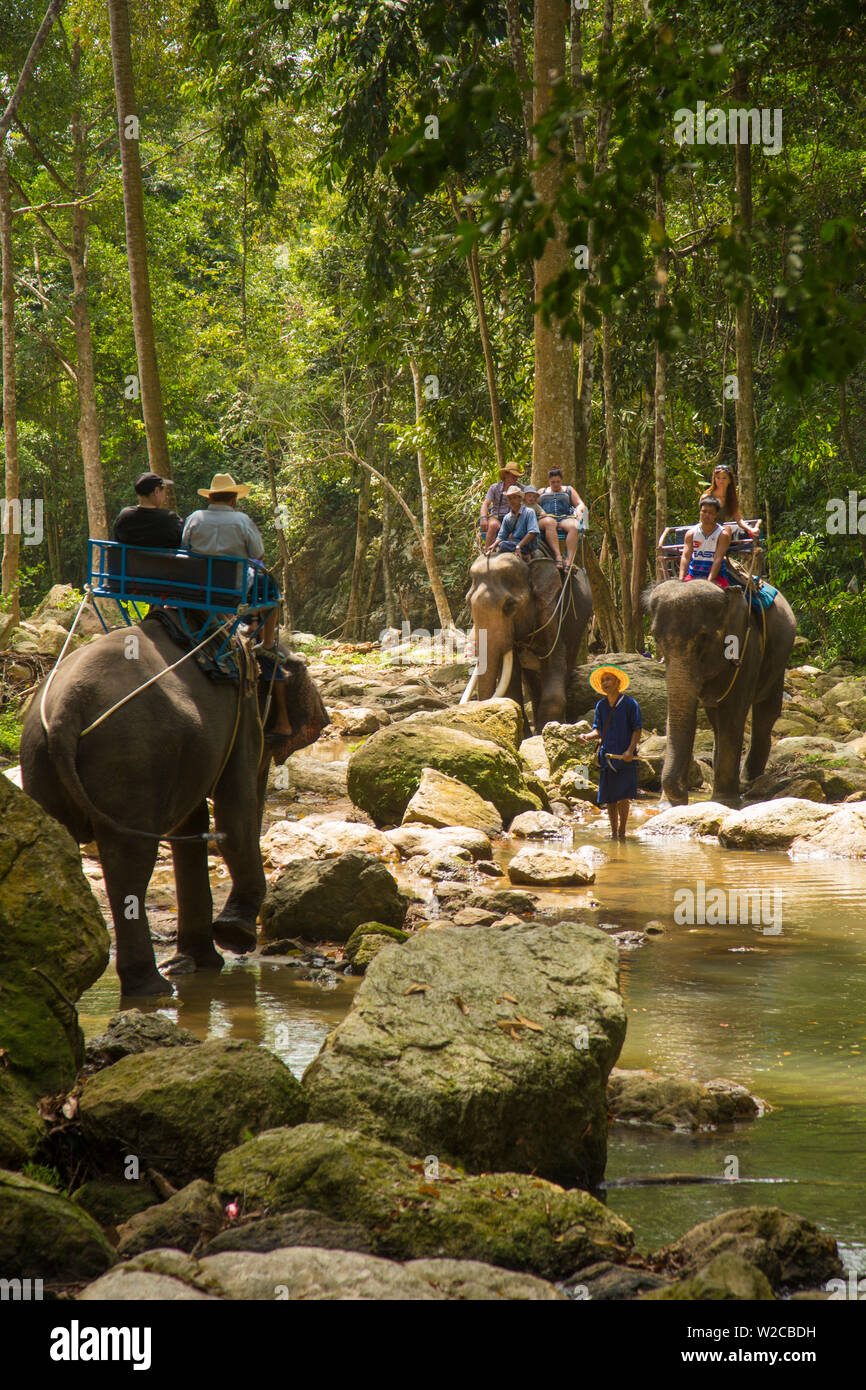 Paseo en elefante, Na Mueang Cascada, Koh Samui, Tailandia Foto de stock