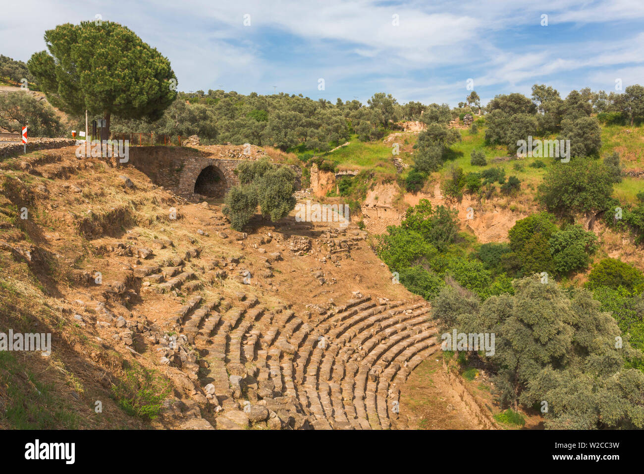 Teatro, ruinas de antiguas Nysa en el Maeander, provincia de Aydin, Turquía Foto de stock