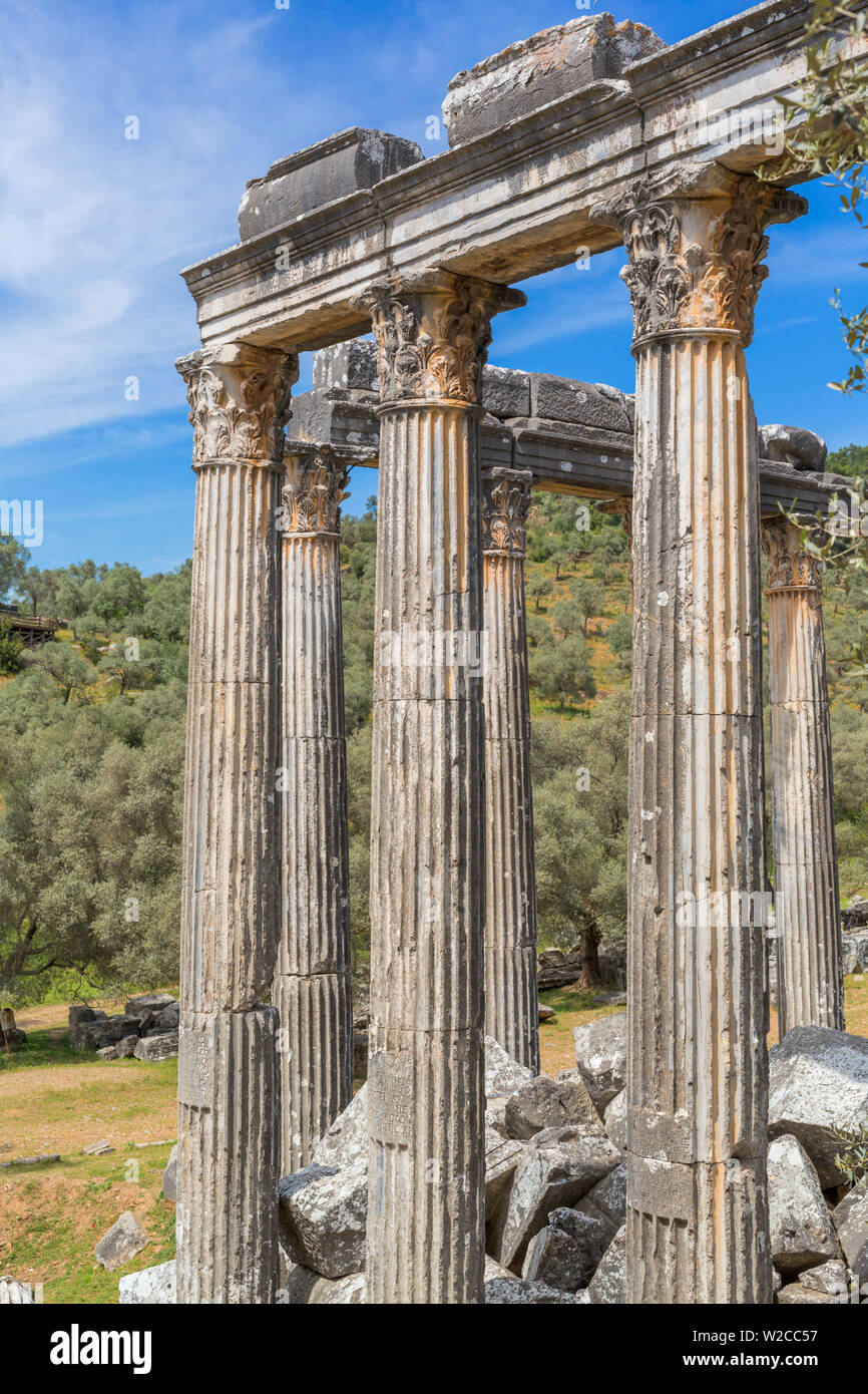 Templo de Zeus Lepsinos, Euromus, provincia de Mugla, Turquía Foto de stock