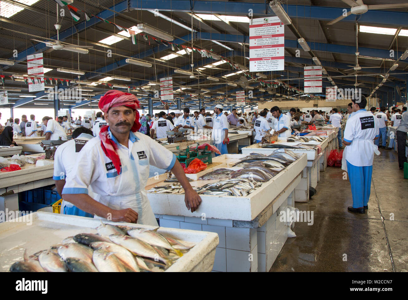 Mercado de Pescado, Deira, Dubai, Emiratos Árabes Unidos. Foto de stock