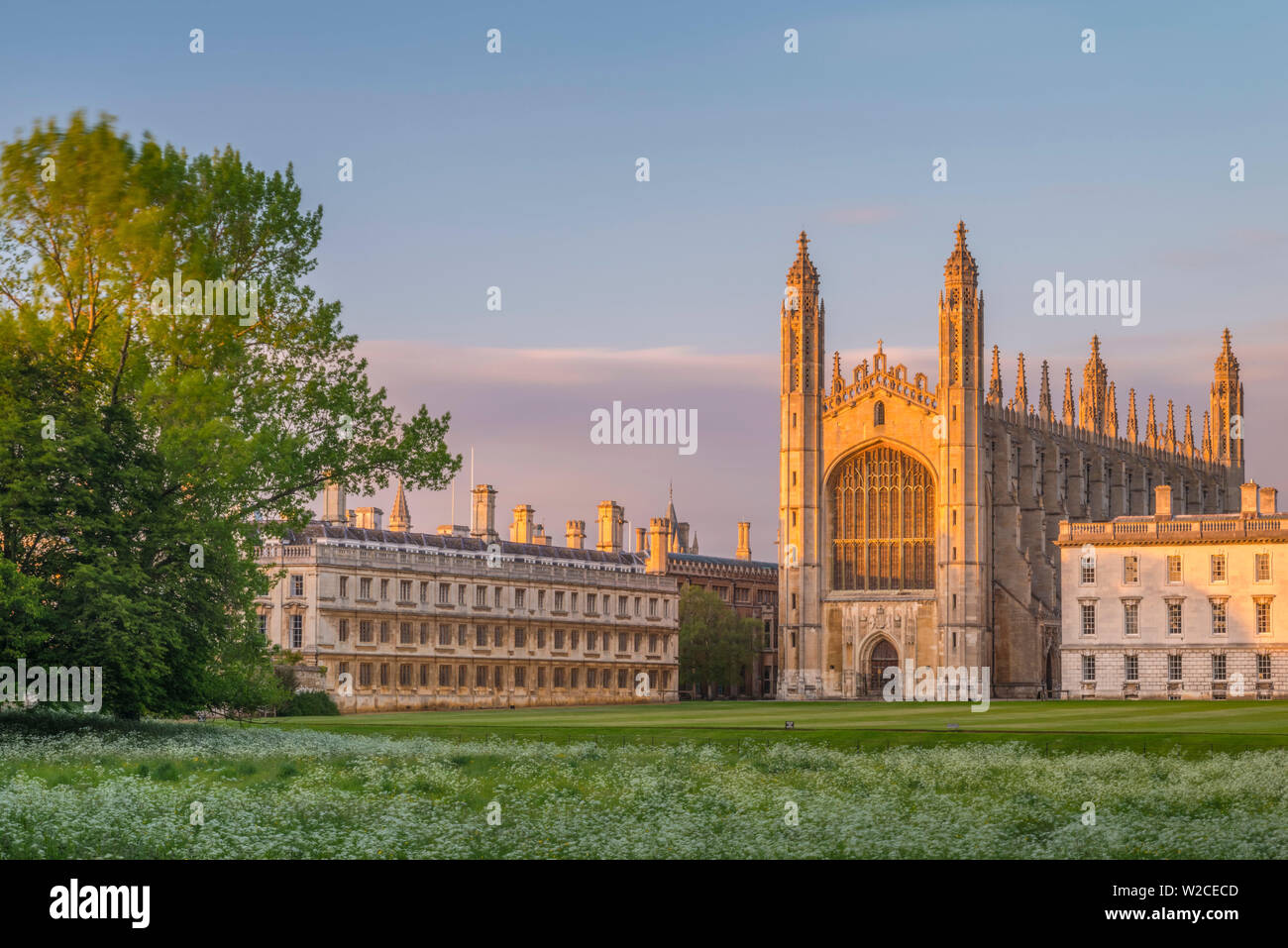 Reino Unido, Inglaterra, Cambridgeshire, Cambridge, la espalda, el King's College, la Capilla de King's College Foto de stock