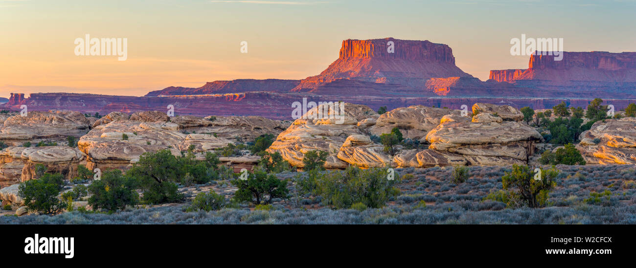 Estados Unidos, Utah Canyonlands National Park, el distrito de las agujas, Junction Butte Foto de stock