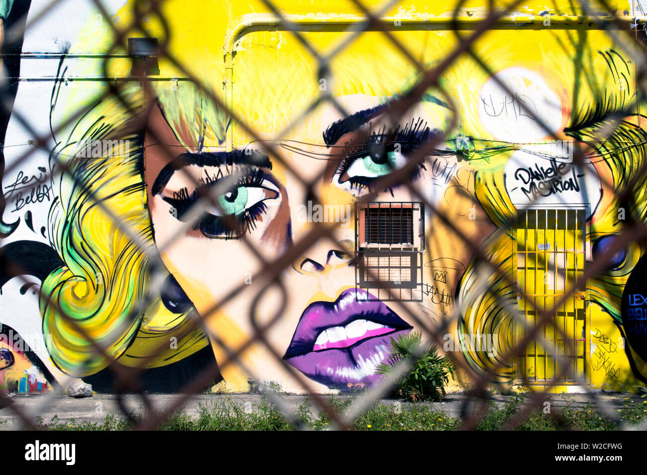 Graffiti arte de la calle en el distrito de arte Wynwood de Miami, Florida, USA. Foto de stock