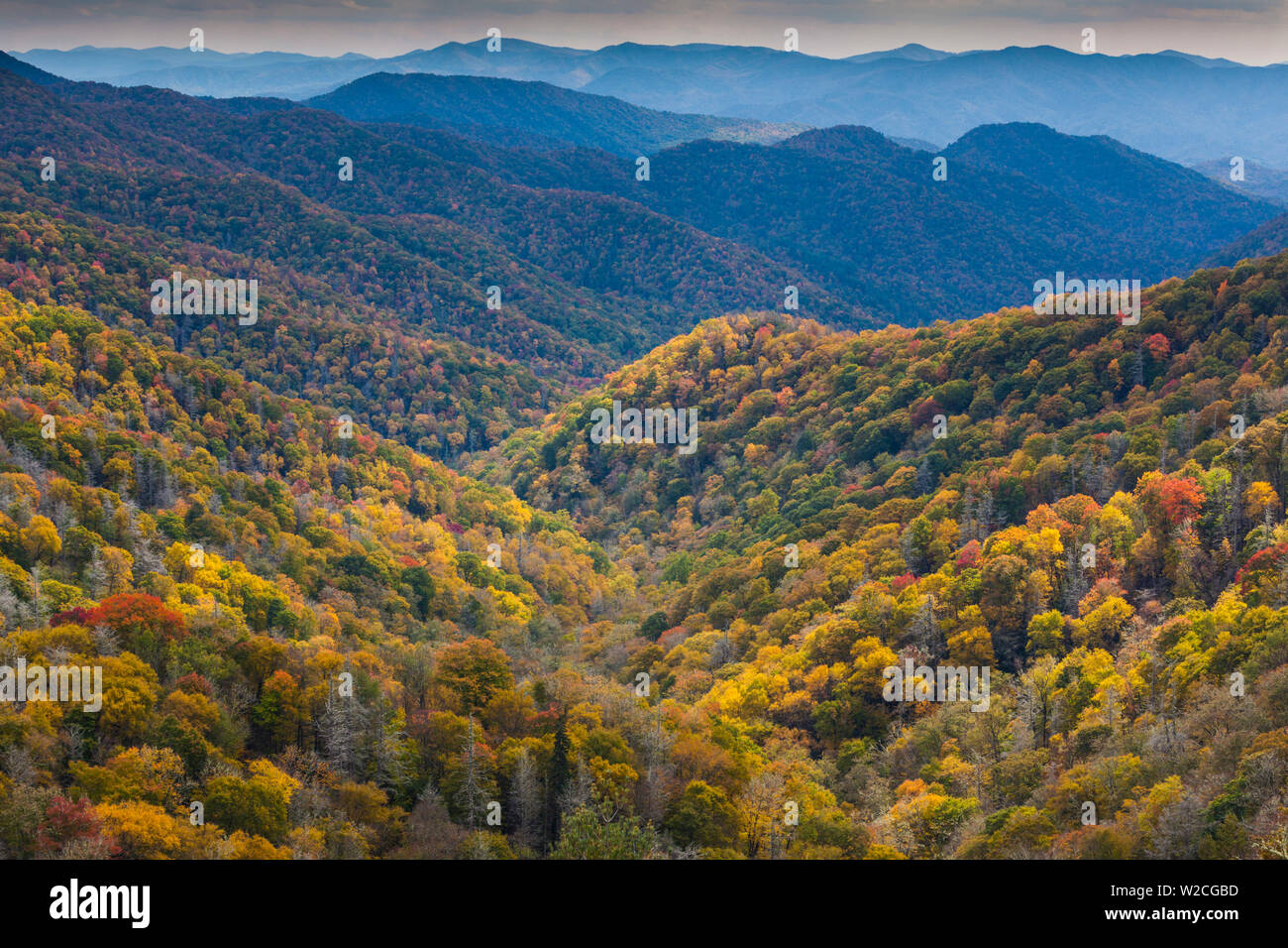 Ee.Uu., Carolina del Norte, Great Smoky Mountains National Park, otoño panorámica desde Newfound Gap Foto de stock