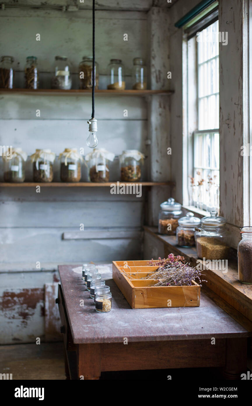 Ee.Uu., New Hampshire, Canterbury, Canterbury Shaker Village, ex Shaker comunidad religiosa, hierbas Foto de stock