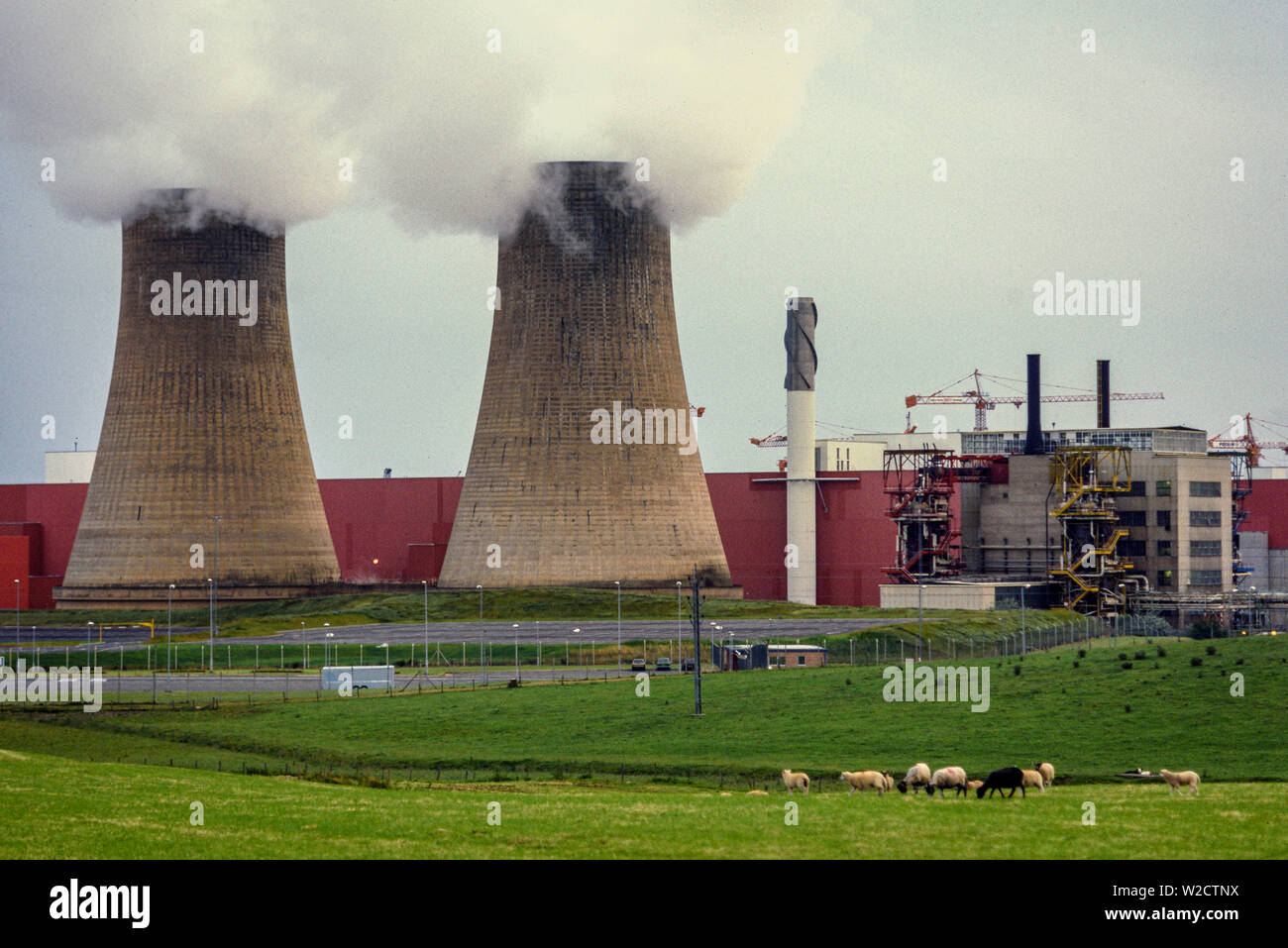 De Sellafield, Inglaterra, Reino Unido. De julio de 1986. La planta de reprocesamiento nuclear. Ovejas pastando en la parte delantera de la planta nuclear. Foto: © Simon Grosset. Archivo: Imagen digitalizada de una transparencia original. Foto de stock