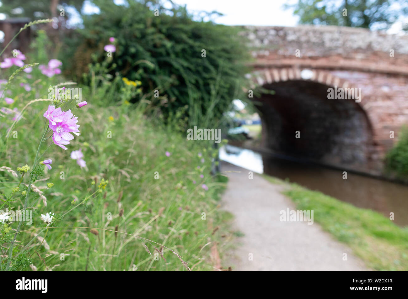 Vistas a lo largo de la Shropshire Union Canal cerca de Market Drayton en Shropshire, REINO UNIDO incluyendo puente puente 62 y 63 y el Talbot Wharf y barcazas Foto de stock