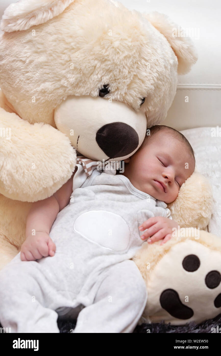 Recién nacido duerme tranquilo con mullidas gigante oso de peluche  Fotografía de stock - Alamy