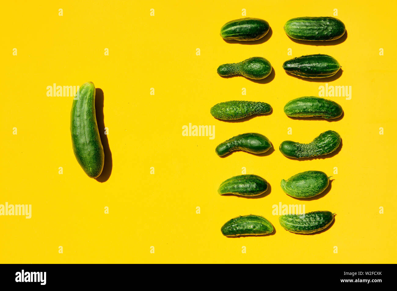 Tamaños diferentes formas pepinos patrón sobre un fondo amarillo