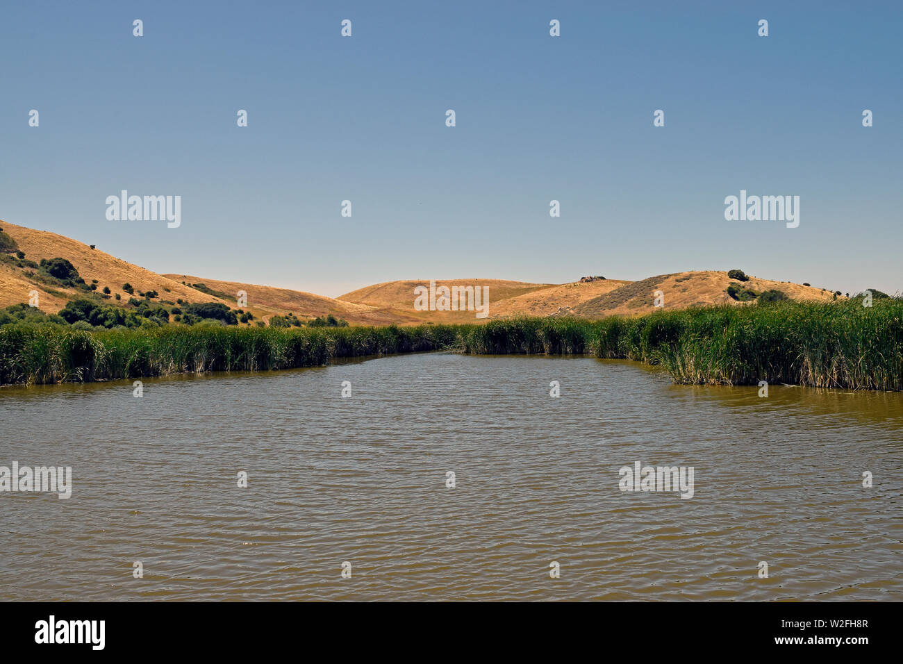 Principales Marsh en Coyote Hills Regional Park, California, a principios de verano Foto de stock