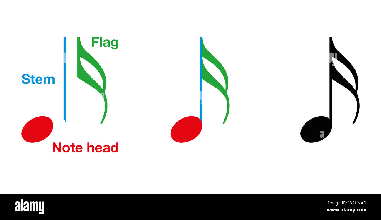 Partes de una nota musical se muestra en semicorchea. En notación musical una nota valor indica la duración relativa de una nota. Foto de stock