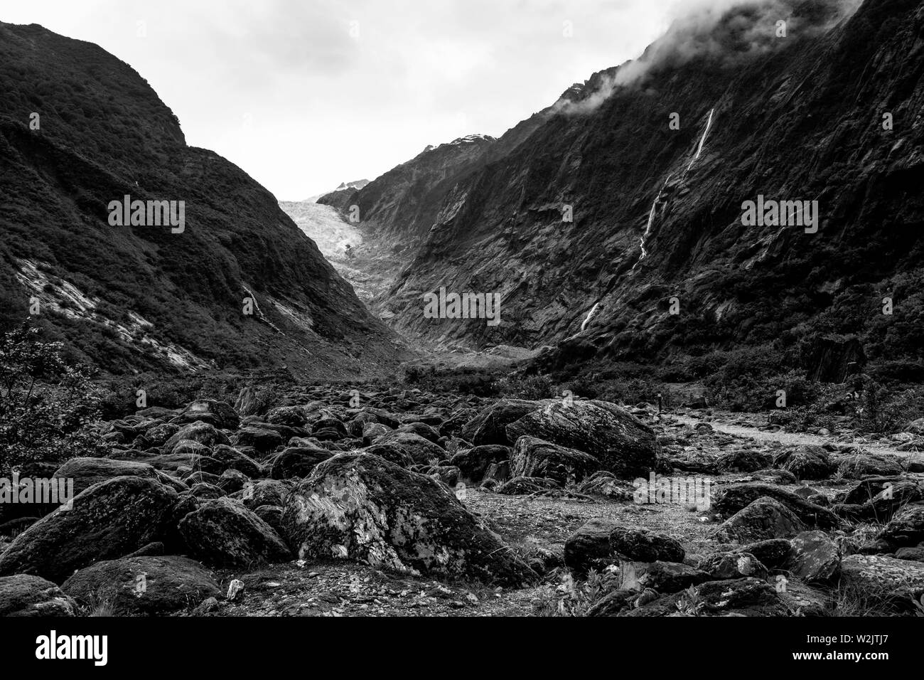 El suelo del valle, el glaciar Franz Josef, Isla del Sur, Nueva Zelanda Foto de stock